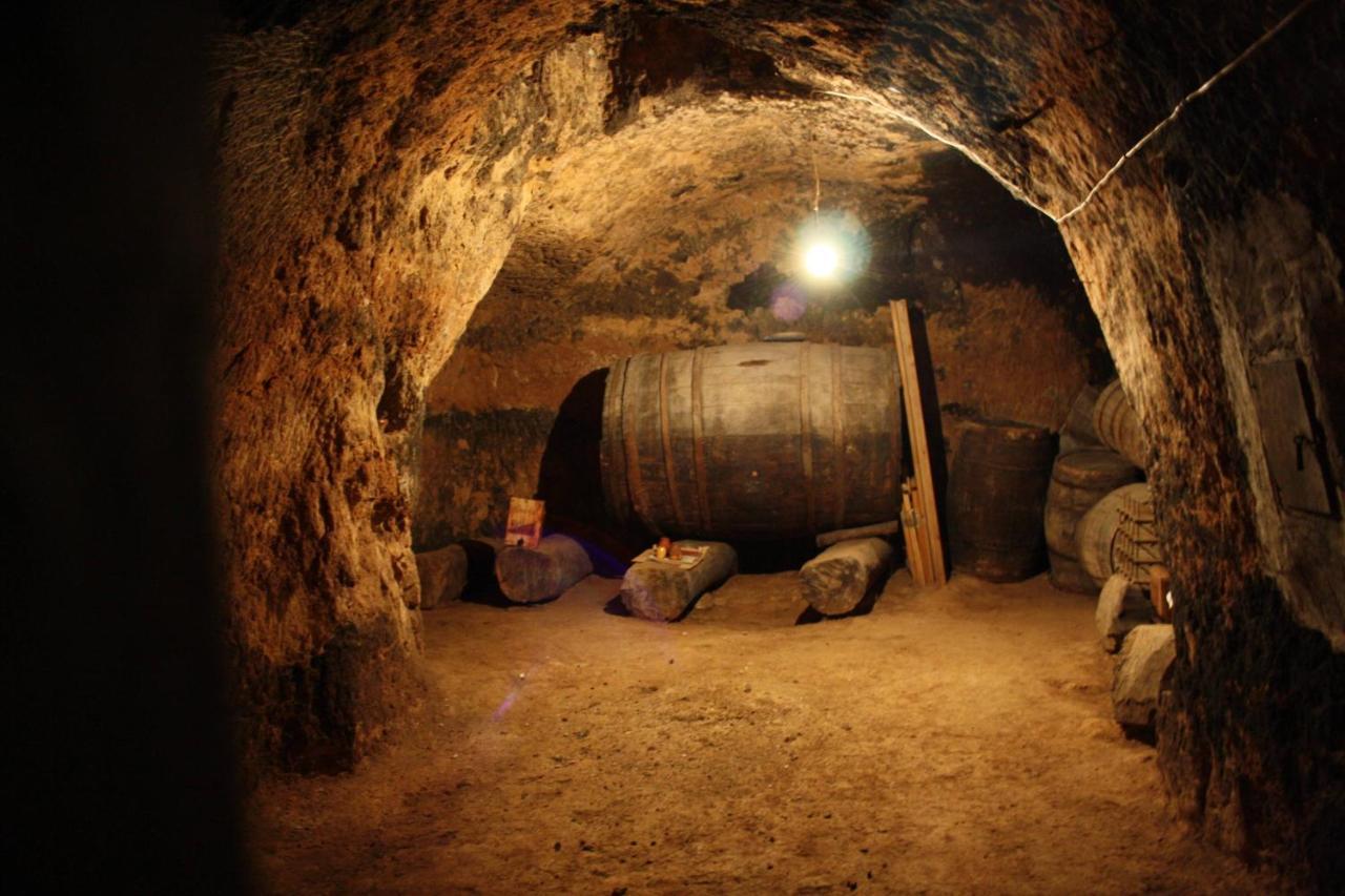 Casa Rural Marina Curiel de Duero エクステリア 写真